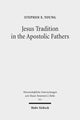 Book cover of: Jesus Tradition in the Apostolic Fathers. By: Stephen E. Young