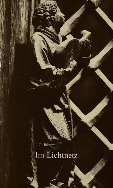 Book cover of: Im Lichtnetz
