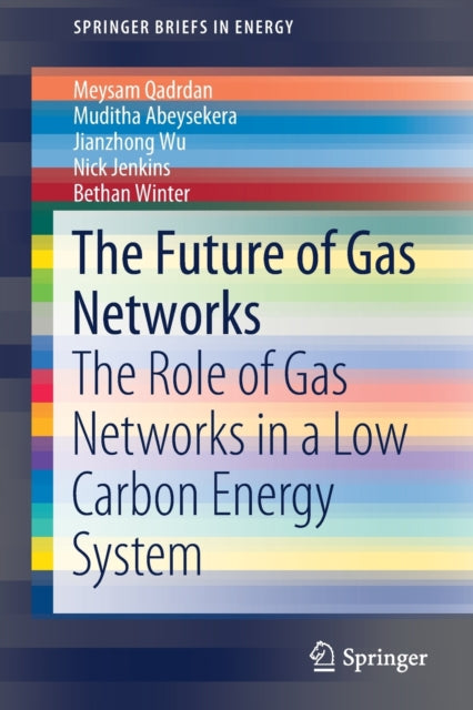 Book cover of: Future of Gas Networks. By: Meysam Qadrdan