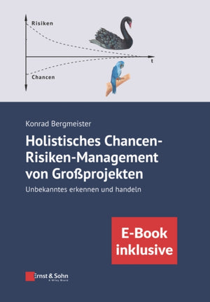 Holistisches Chancen-Risiken-Management von Grossprojekten