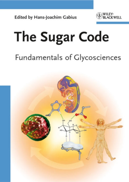 Book cover of: Sugar Code