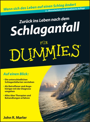 Zuruck ins Leben nach dem Schlaganfall fur Dummies