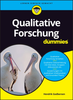 Qualitative Forschung fur Dummies