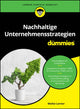 Book cover of: Nachhaltige Unternehmensstrategien fur Dummies. By: M. Lerner