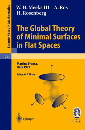 Global Theory of Minimal Surfaces in Flat Spaces