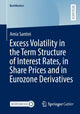 Book cover of: Excess Volatility in the Term Structure of Interest Rates, in Share Prices and in Eurozone Derivatives. By: Amia Santini