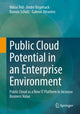 Book cover of: Public Cloud Potential in an Enterprise Environment