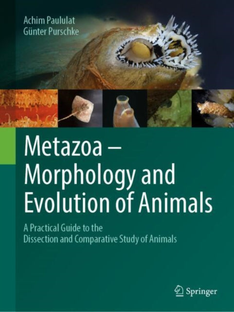 Book cover of: Metazoa – Morphology and Evolution of Animals. By: Achim Paululat