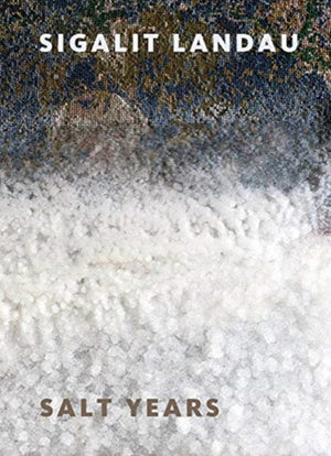 Sigalit Landau: Salt Years