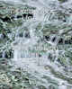 Book cover of: Escultura Liquida (Spanish edition). By: Iwona Blazwick
