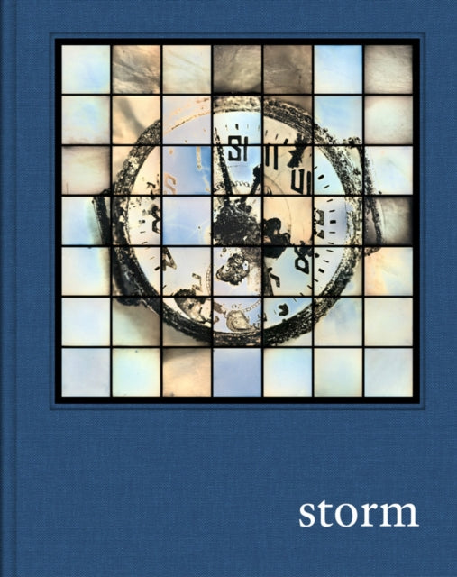 Book cover of: Prix Pictet: Storm