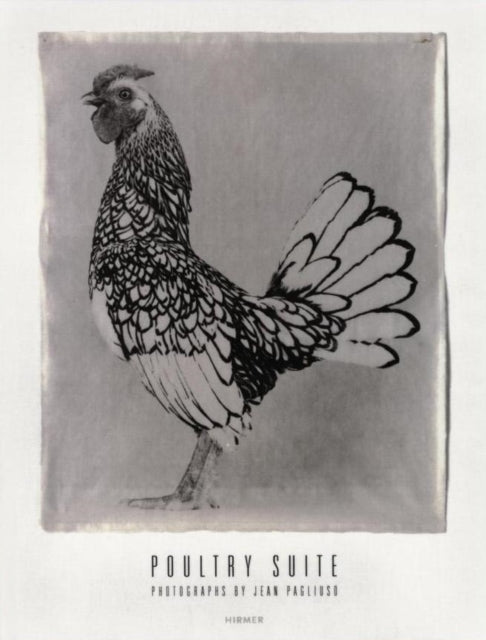 Book cover of: Jean Pagliuso: Poultry Suite. By: Jean Pagliuso