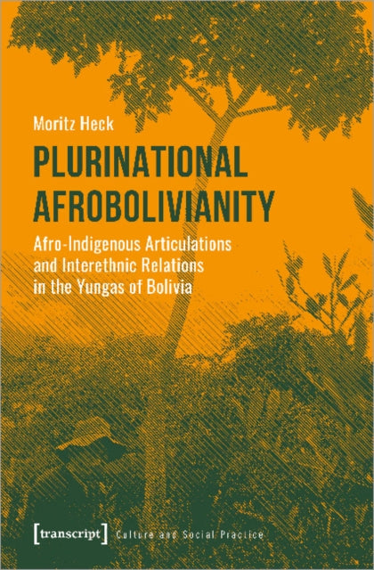 Book cover of: Plurinational Afrobolivianity – Afro–Indigenous Articulations and Interethnic Relations in the Yungas of Bolivia. By: Heck Moritz