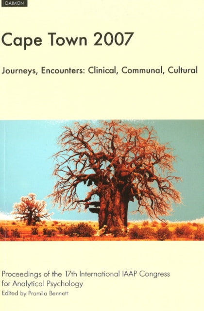 Book cover of: Cape Town 2007