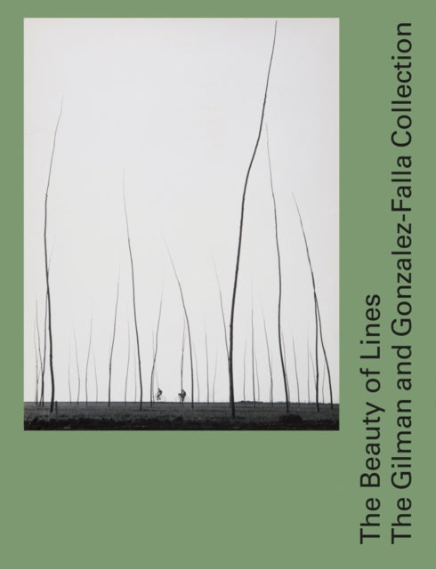 Book cover of: Beauty of Lines