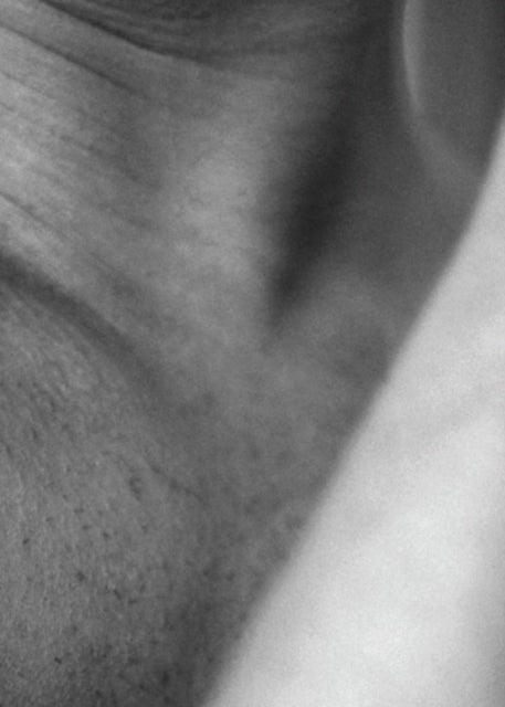 Book cover of: Ardelle Schneider. By: Ardelle Schneider