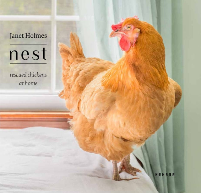Book cover of: Nest. By: Holmes, Janet