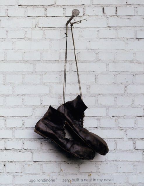 Book cover of: Ugo Rondinone: Zero Built a Nest in My Navel. By: Iwona Blazwick