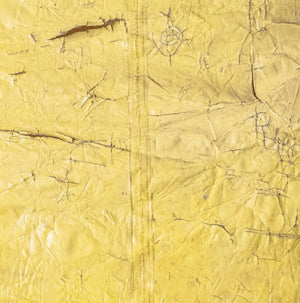 David Hammons