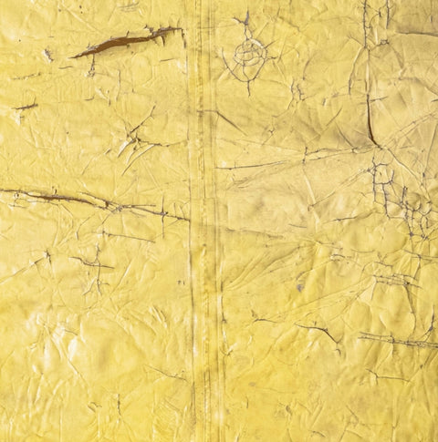 David Hammons