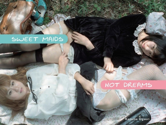 Book cover of: Sweet Maids Hot Dreams