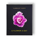 Book cover of: Flamboyant Flowers