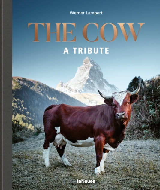 Book cover of: Cow. By: Werner Lampert