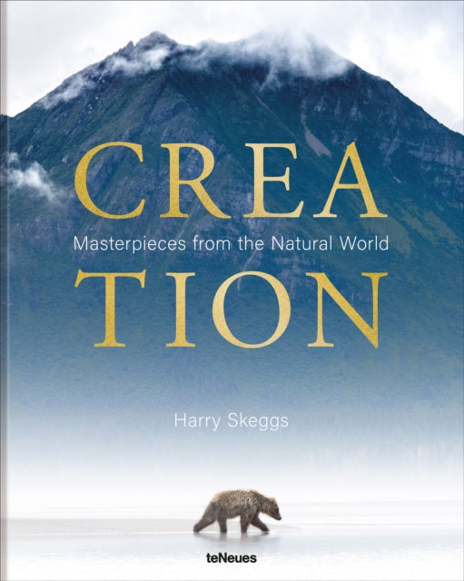 Book cover of: Creation