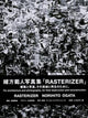 Book cover of: RASTERIZER