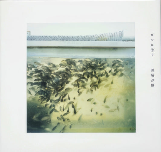 Book cover of: Swimming on the Building