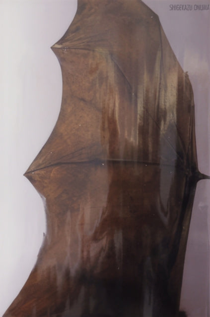 Book cover of: Shigekazu Onuma