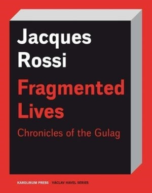 Fragmented Lives