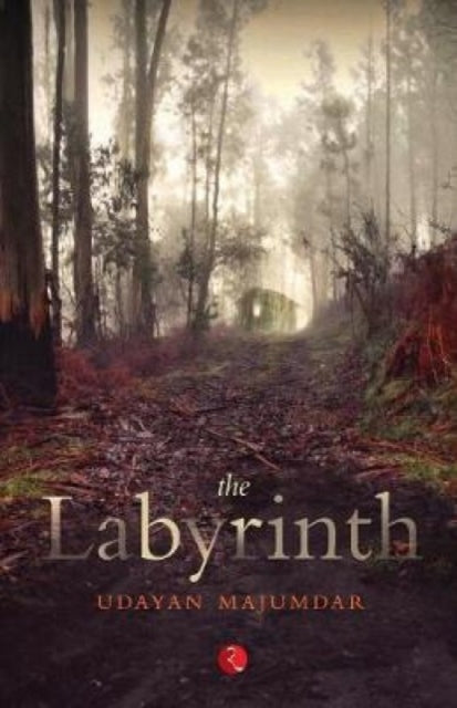Book cover of: Labyrinth