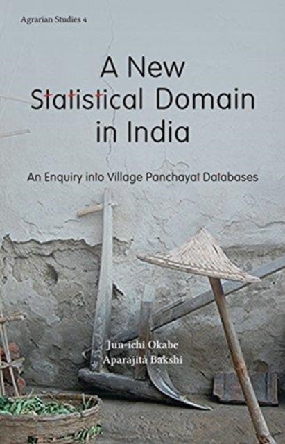 Book cover of: New Statistical Domain in India. By: Jun-Ichi Okabe
