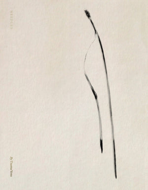 Txema Yeste: Needles