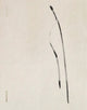 Book cover of: Txema Yeste: Needles