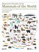 Book cover of: Illustrated Checklist of the Mammals of the World. 2 volums. By: Connor J. Burgin