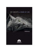 Book cover of: Key concepts in senior cat care