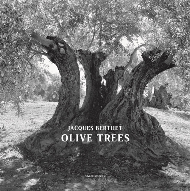 Book cover of: Olive Trees. By: Jacques Berthet