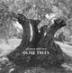 Book cover of: Olive Trees. By: Jacques Berthet