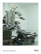 Book cover of: Diana Al-Hadid. By: Maya Allison