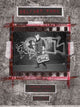 Book cover of: Belfast Punk. By: Ricky Adam