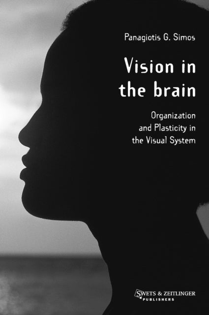 Book cover of: Vision in the Brain. By: Simos