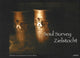 Book cover of: Soul Survey / Zielstocht