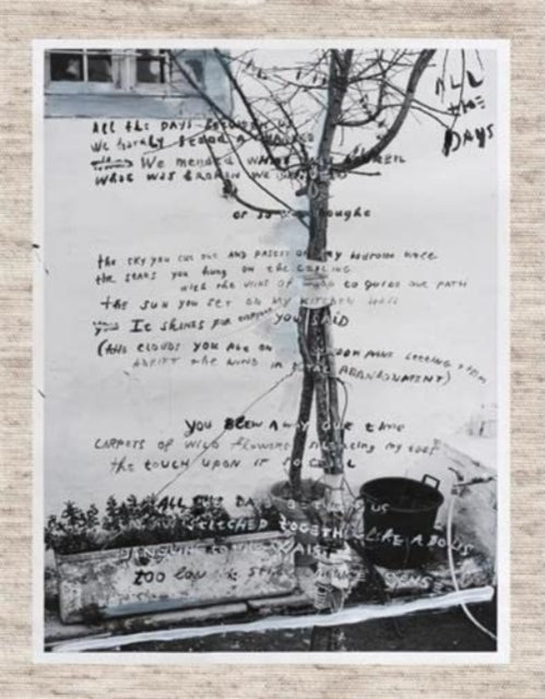 Book cover of: June. By: Jasper Krabbe Annemarieke van Drimmelen
