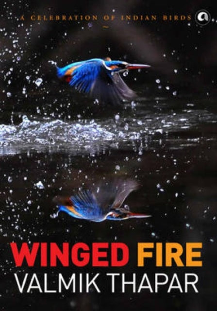Book cover of: Winged Fire