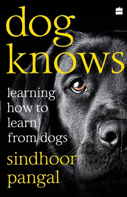 Book cover of: Dog Knows