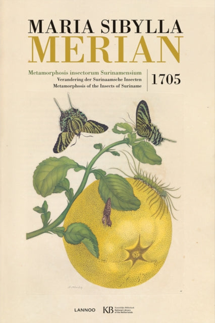 Book cover of: Metamorphosis Insectorum Surinamensium. By: Maria Sibylla Merian