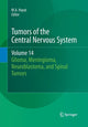 Book cover of: Tumors of the Central Nervous System, Volume 14. By: M.A. Hayat
