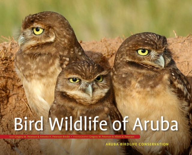 Book cover of: Bird Wildlife of Aruba. By: Greg Peterson